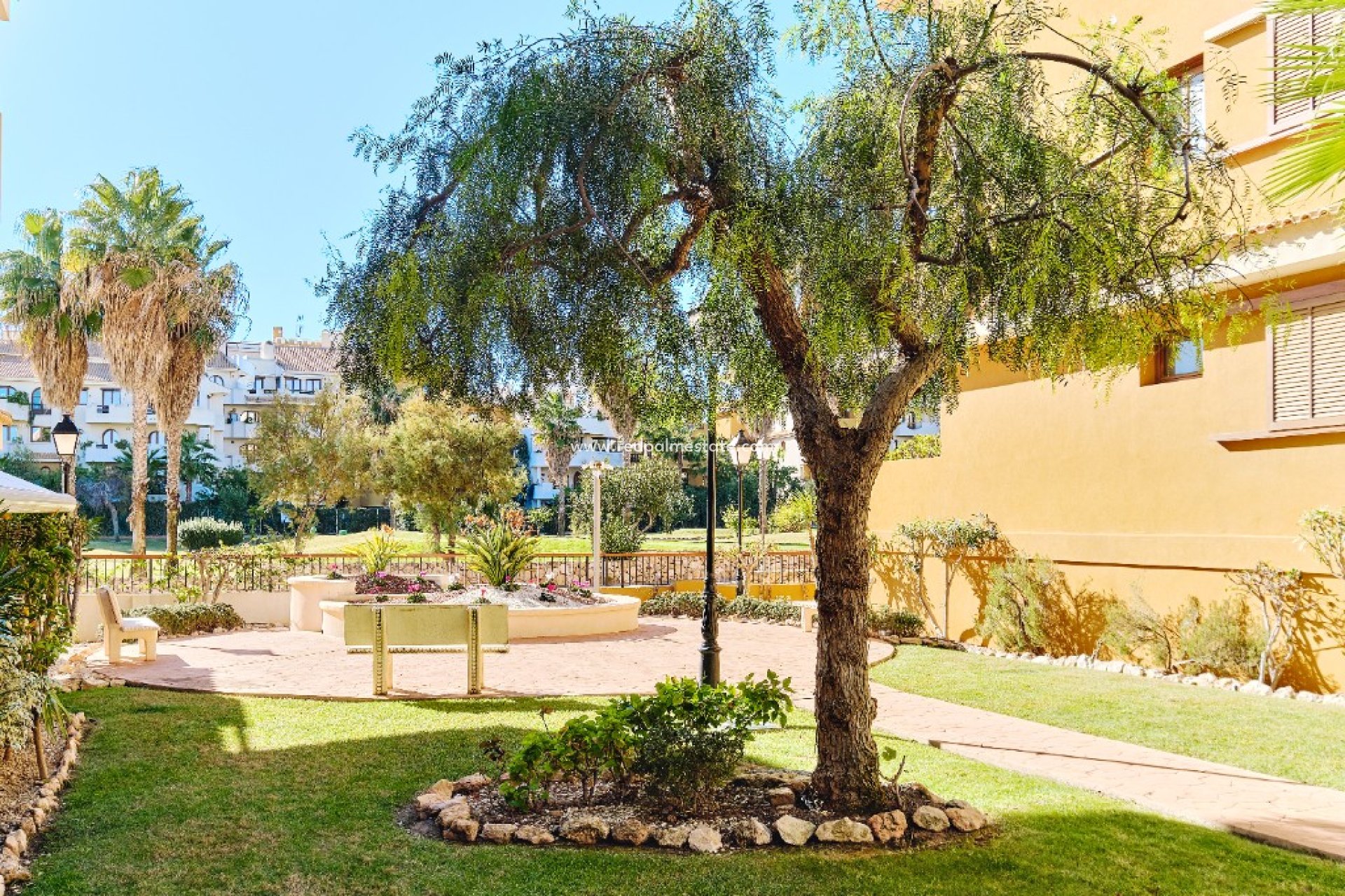 Location à court terme - Appartements -
Torrevieja - La Entrada