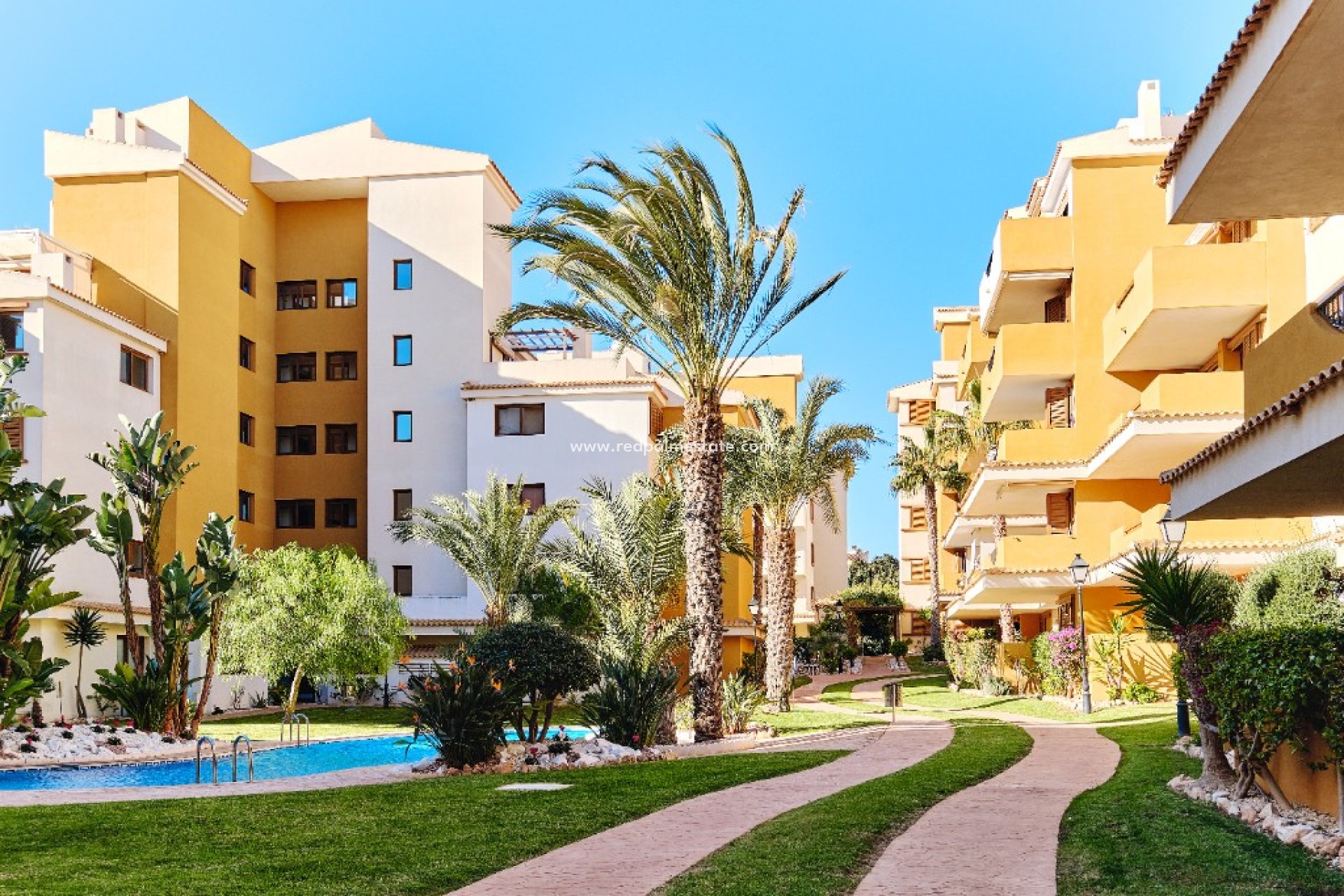Location à court terme - Appartements -
Torrevieja - La Entrada