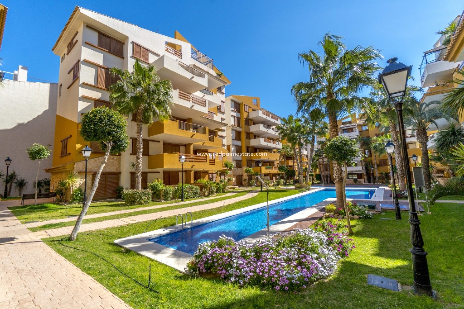 Location à court terme - Appartements -
Torrevieja - La Recoleta