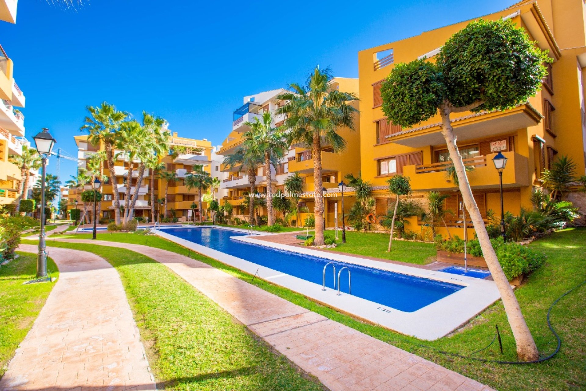 Location à court terme - Appartements -
Torrevieja - La Recoleta