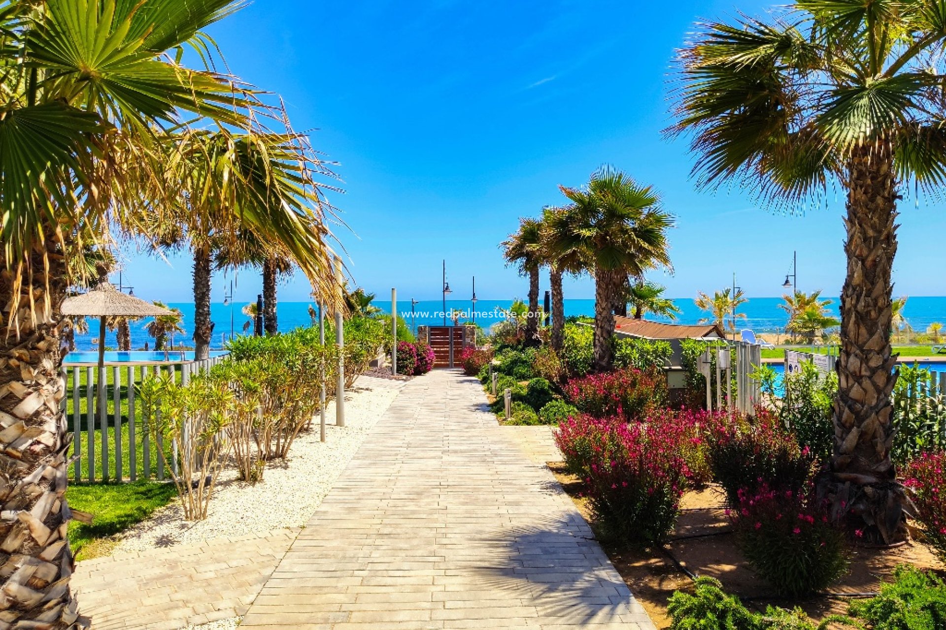 Location à court terme - Appartements -
Torrevieja - Panorama Mar