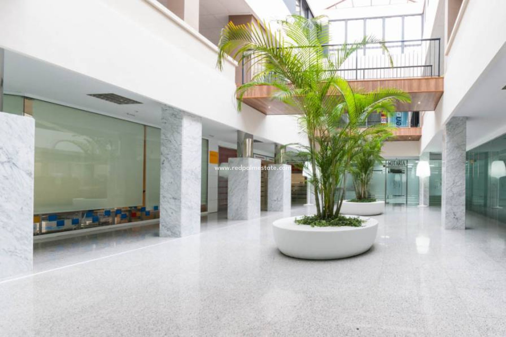  - Negocio -
Orihuela Costa - Playa Flamenca