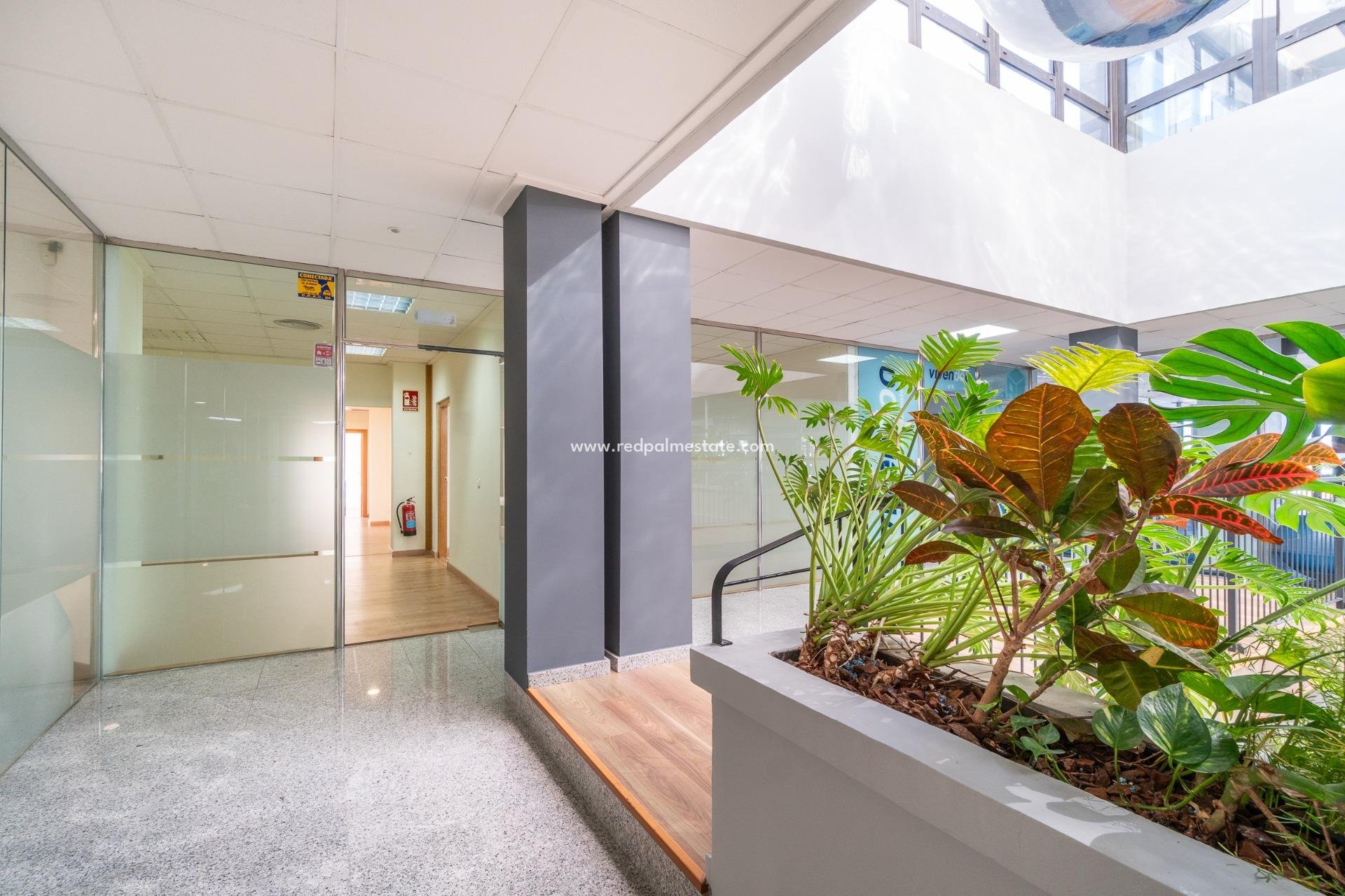  - Negocio -
Orihuela Costa - Playa Flamenca