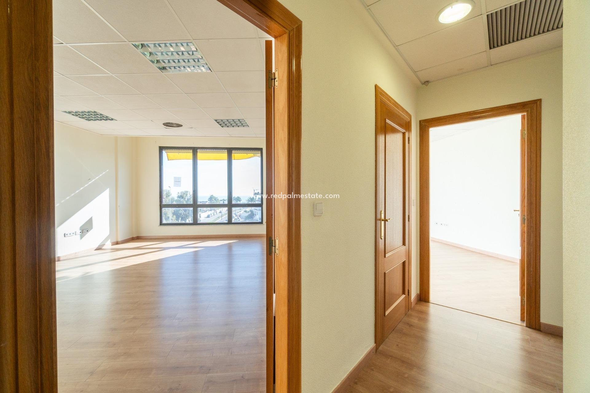  - Negocio -
Orihuela Costa - Playa Flamenca