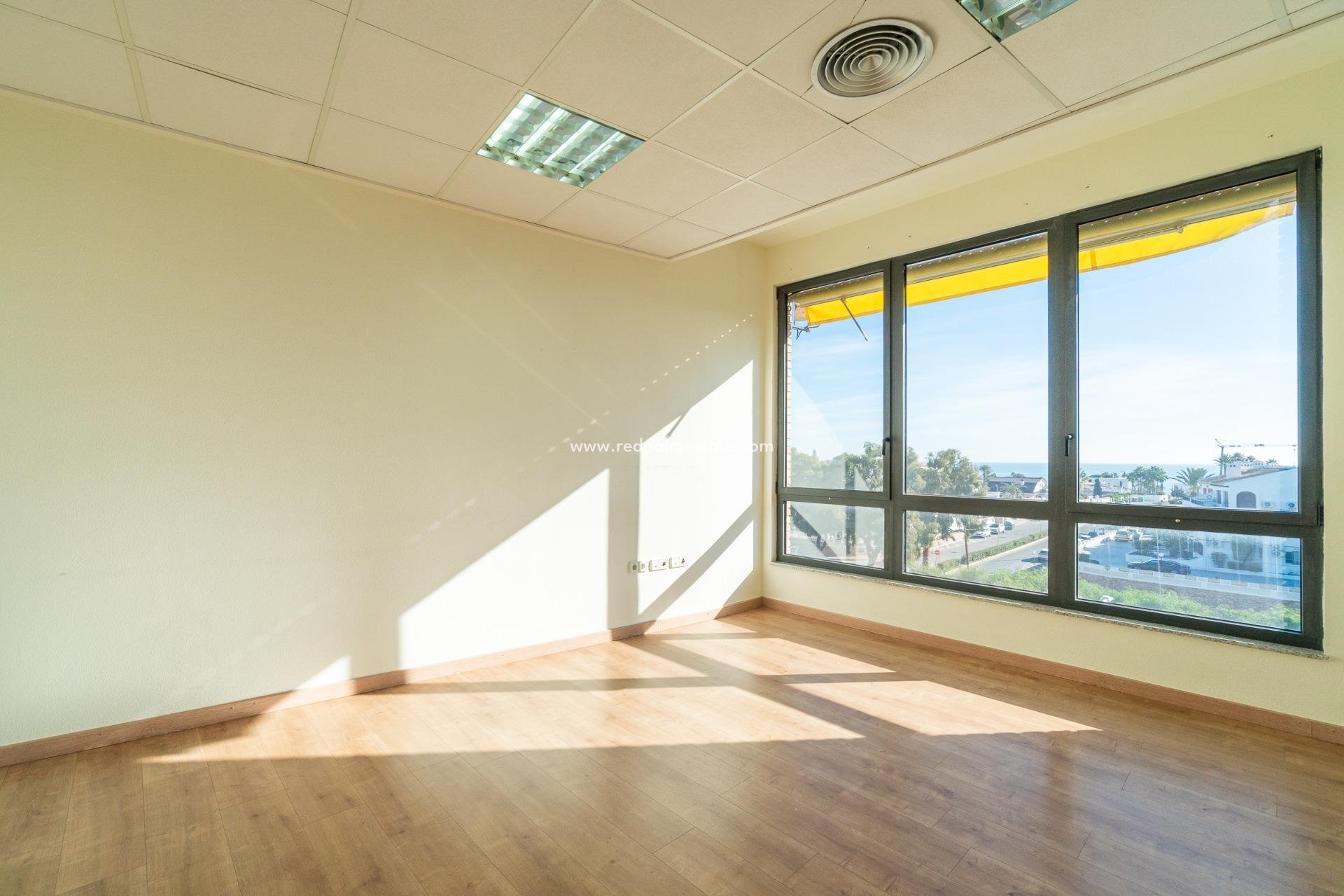  - Negocio -
Orihuela Costa - Playa Flamenca