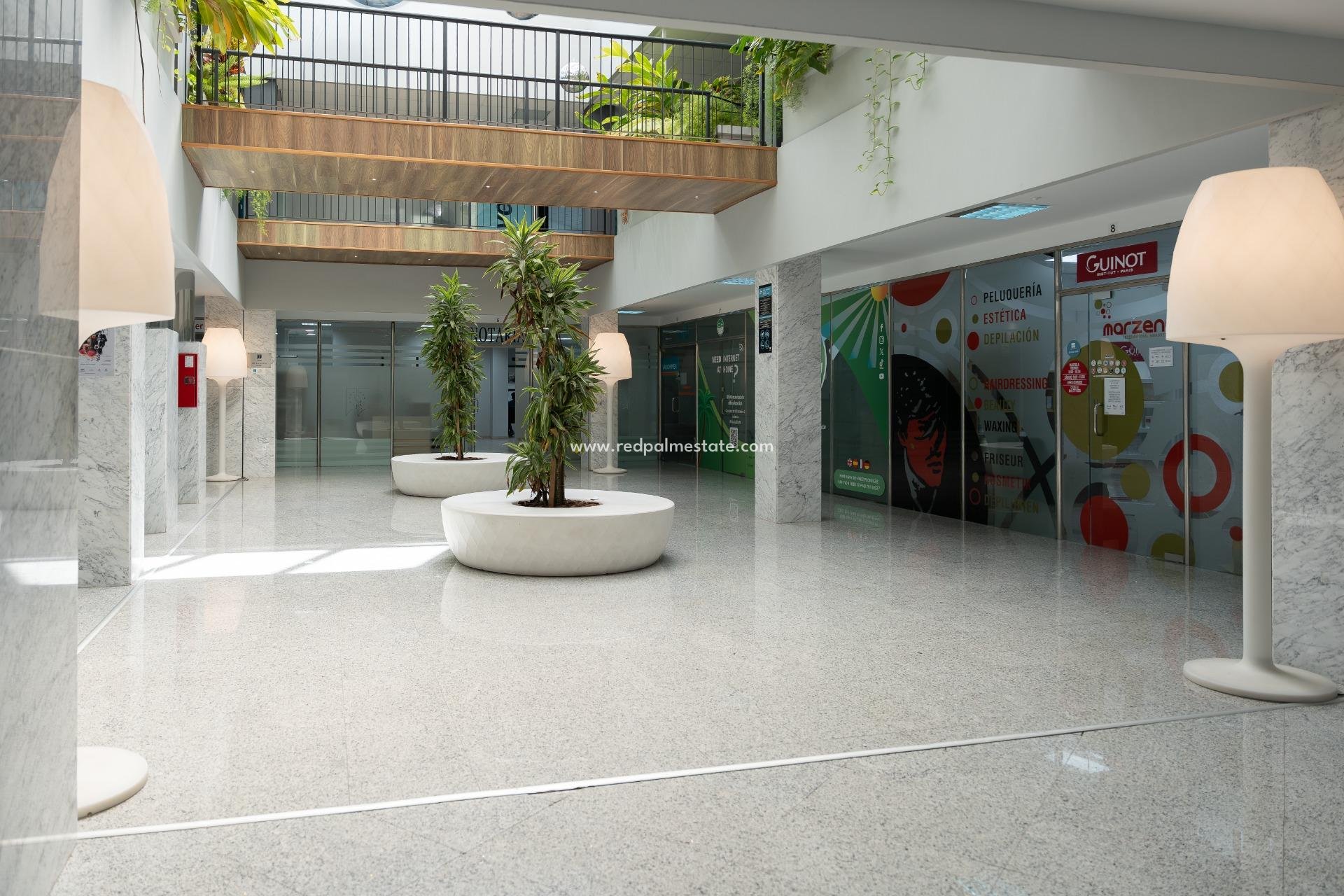  - Negocio -
Orihuela Costa - Playa Flamenca