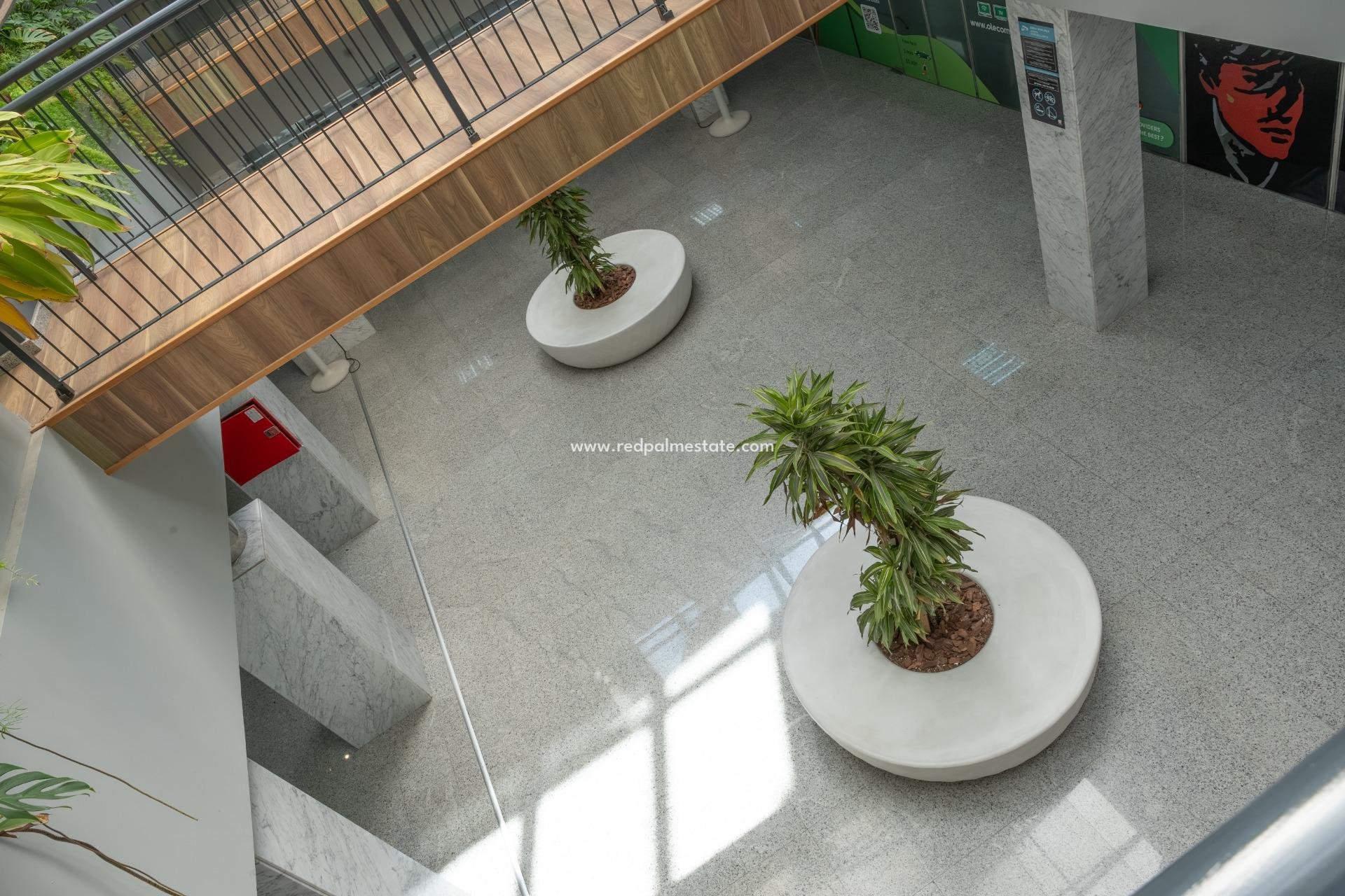  - Negocio -
Orihuela Costa - Playa Flamenca