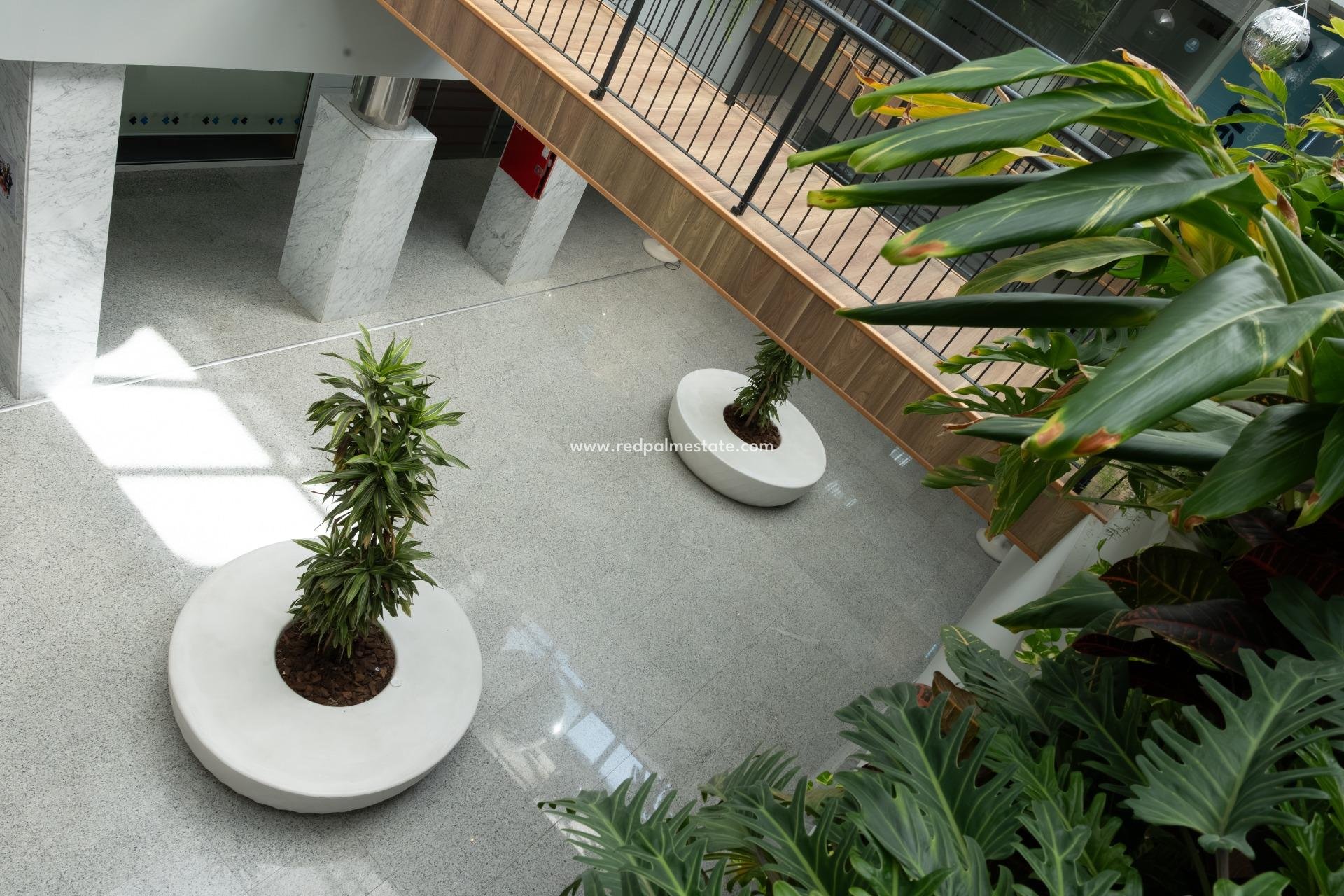  - Negocio -
Orihuela Costa - Playa Flamenca