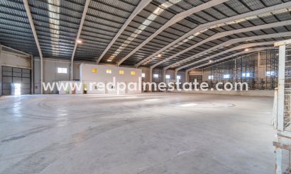 Negocio -  - Pilar de la Horadada -
                Polígono industrial Cañada de Práez