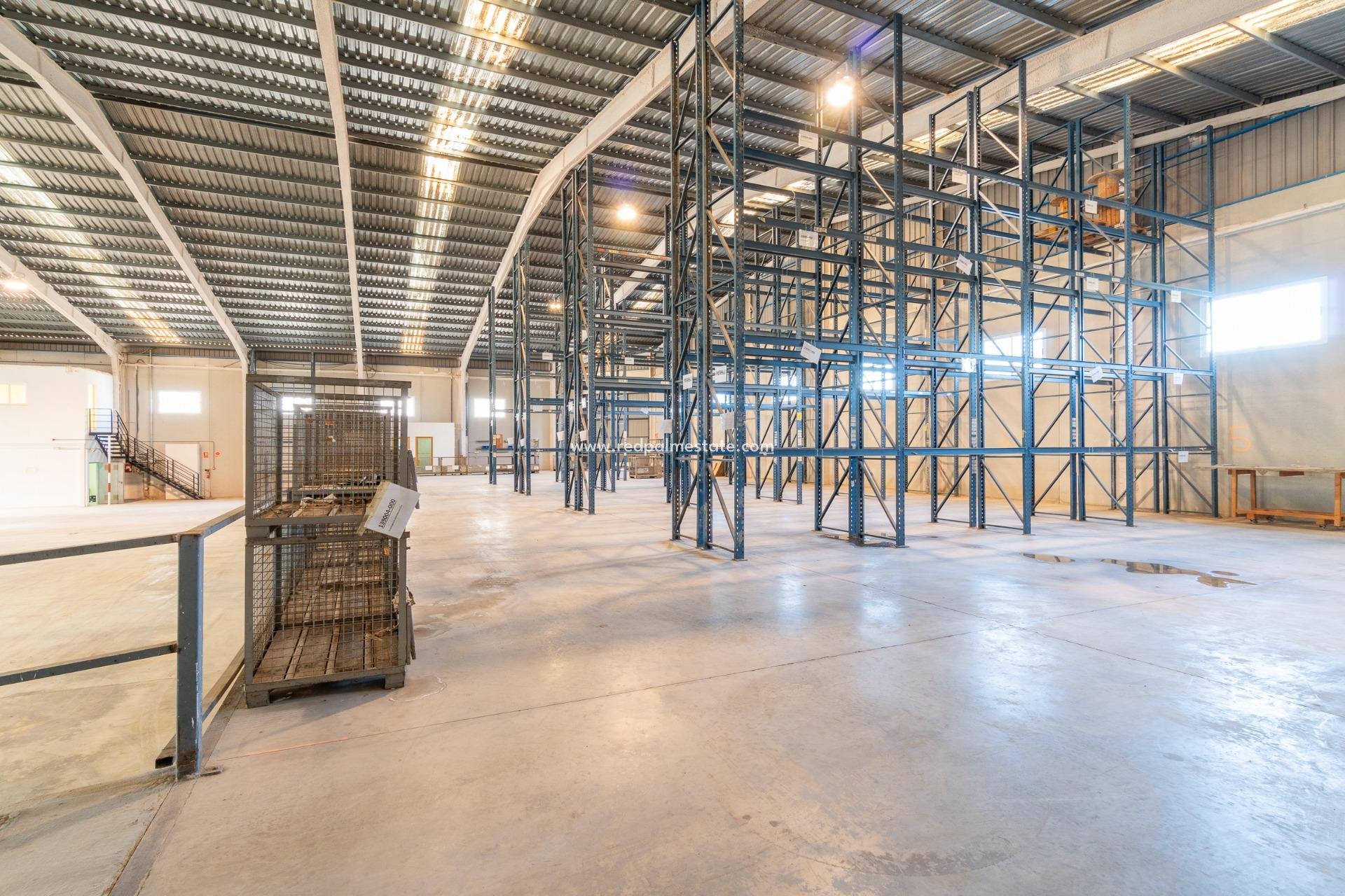  - Negocio -
Pilar de la Horadada - Polígono industrial Cañada de Práez