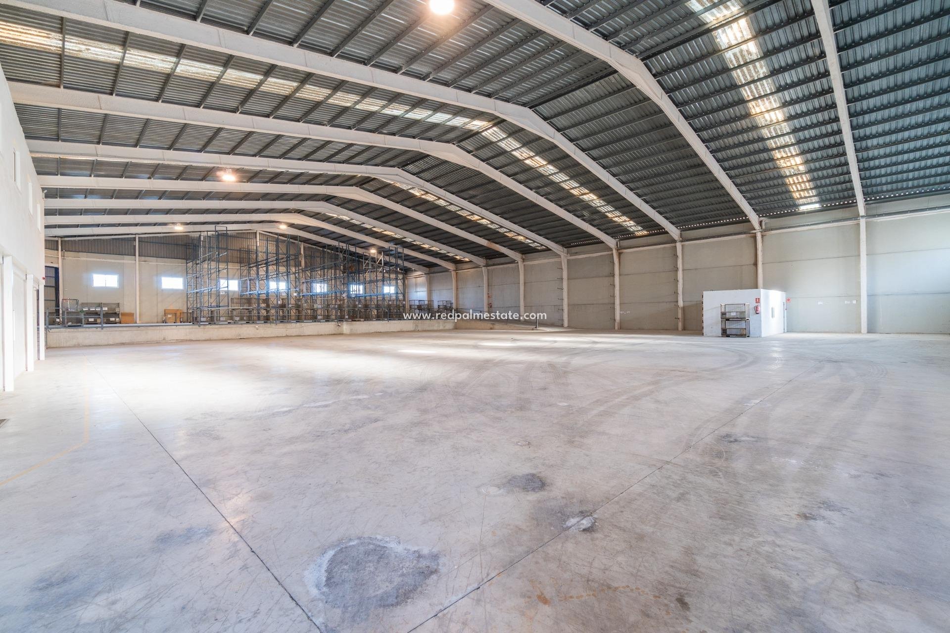  - Negocio -
Pilar de la Horadada - Polígono industrial Cañada de Práez