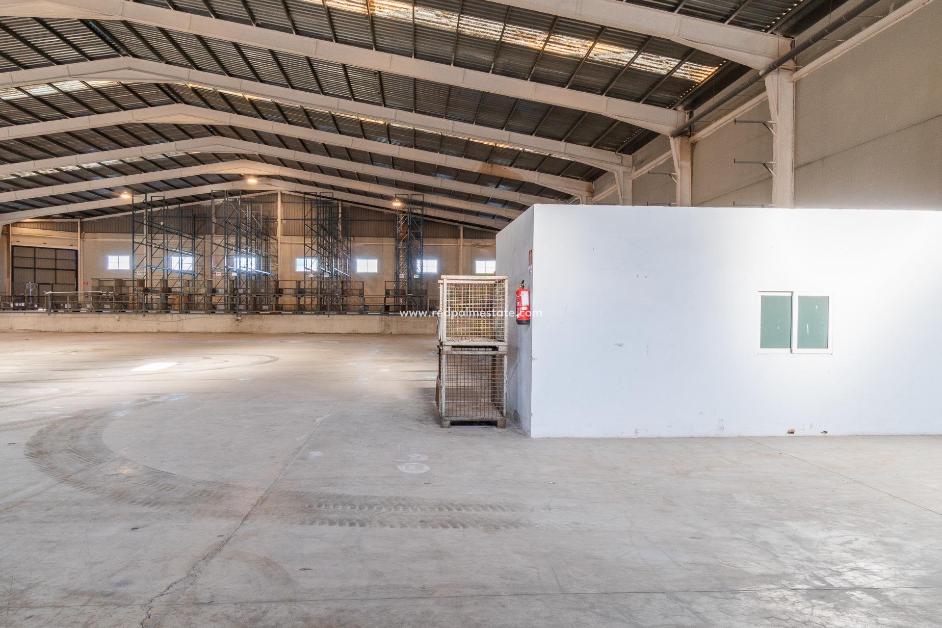  - Negocio -
Pilar de la Horadada - Polígono industrial Cañada de Práez