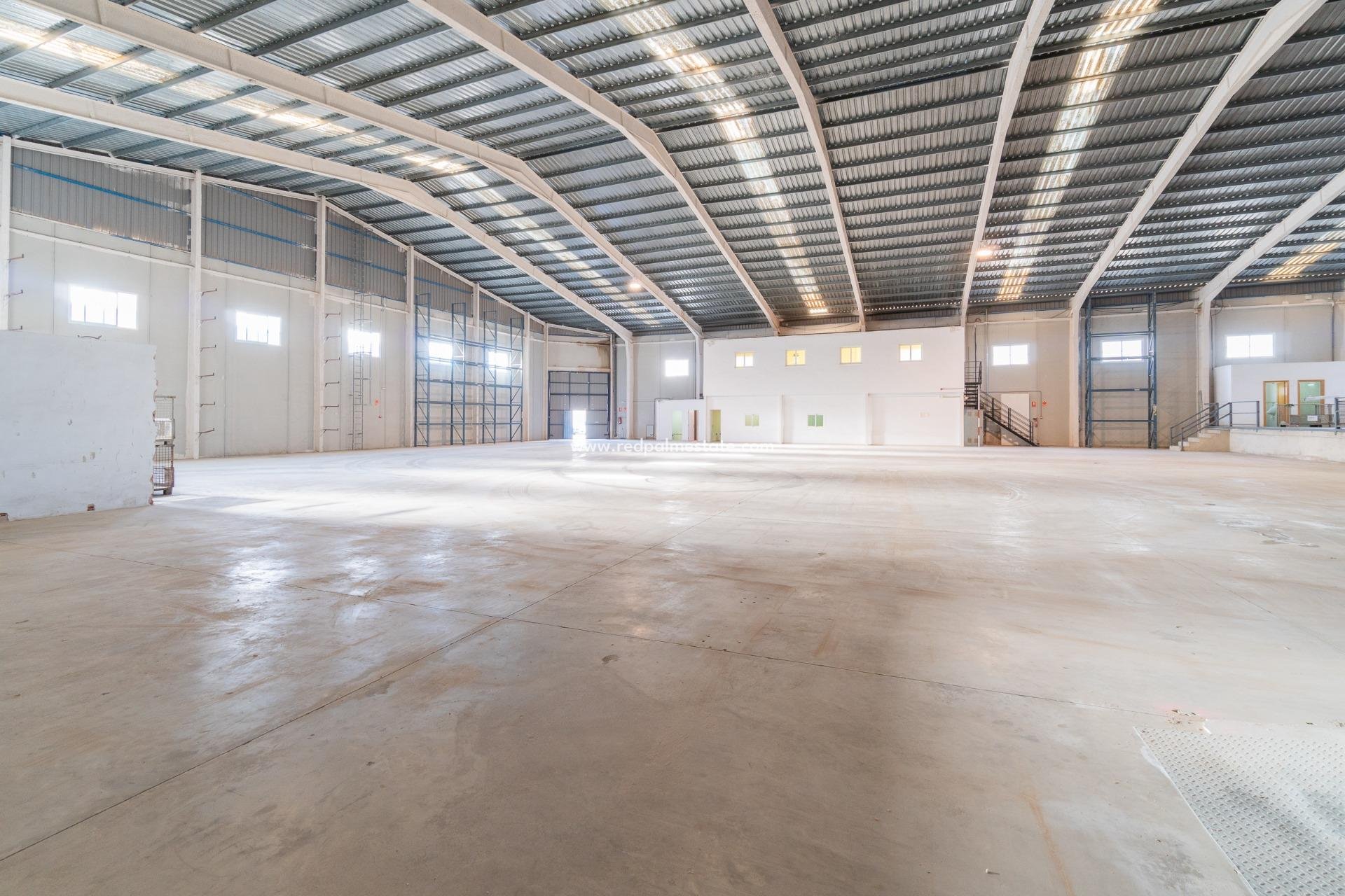  - Negocio -
Pilar de la Horadada - Polígono industrial Cañada de Práez