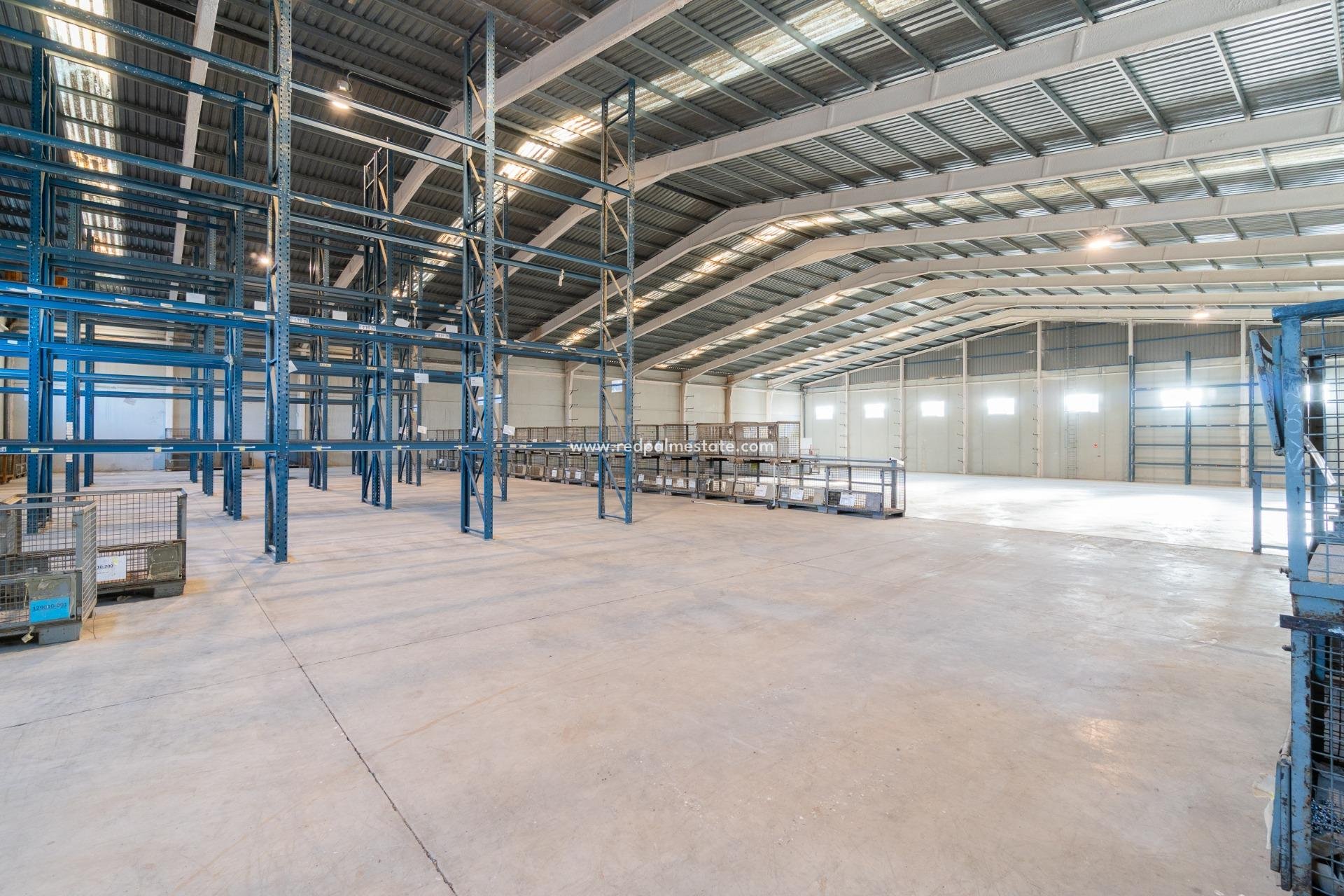  - Negocio -
Pilar de la Horadada - Polígono industrial Cañada de Práez