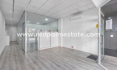 Negocio - Reventa - Torrevieja - La Mata