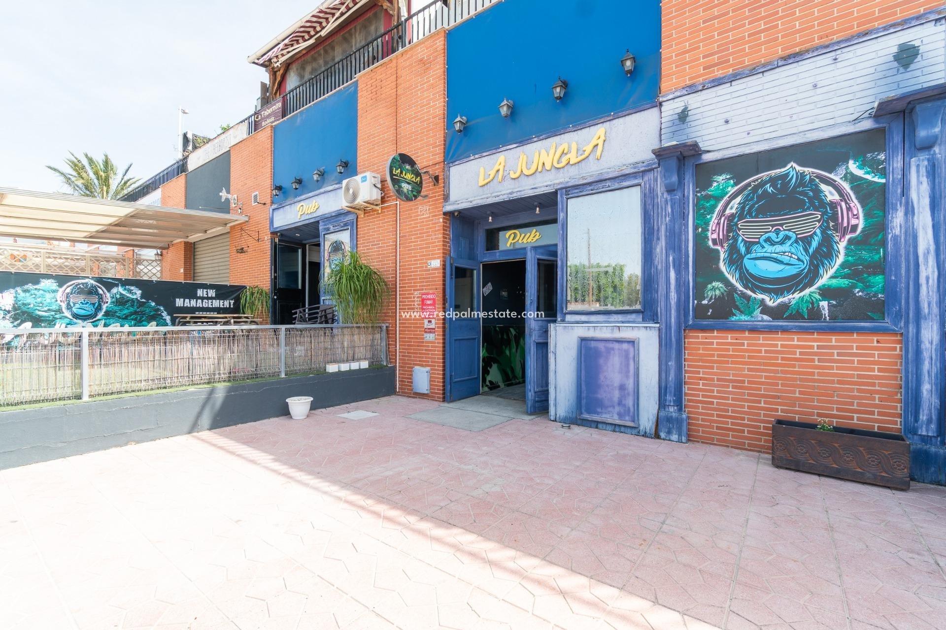  - Negocio -
San Fulgencio - URB. LA MARINA