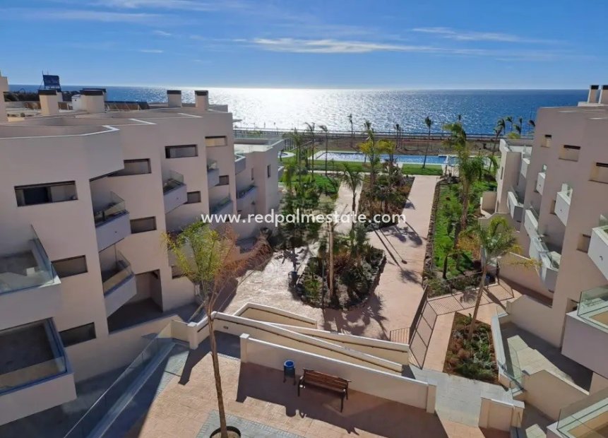 New Build - Apartment -
Almayate