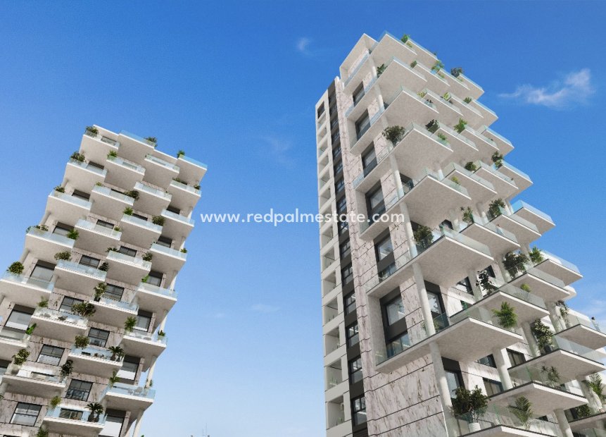 New Build - Apartment -
Calpe