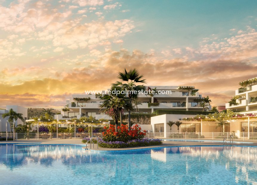 New Build - Apartment -
Casares