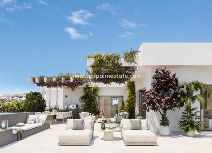 New Build - Apartment -
Casares