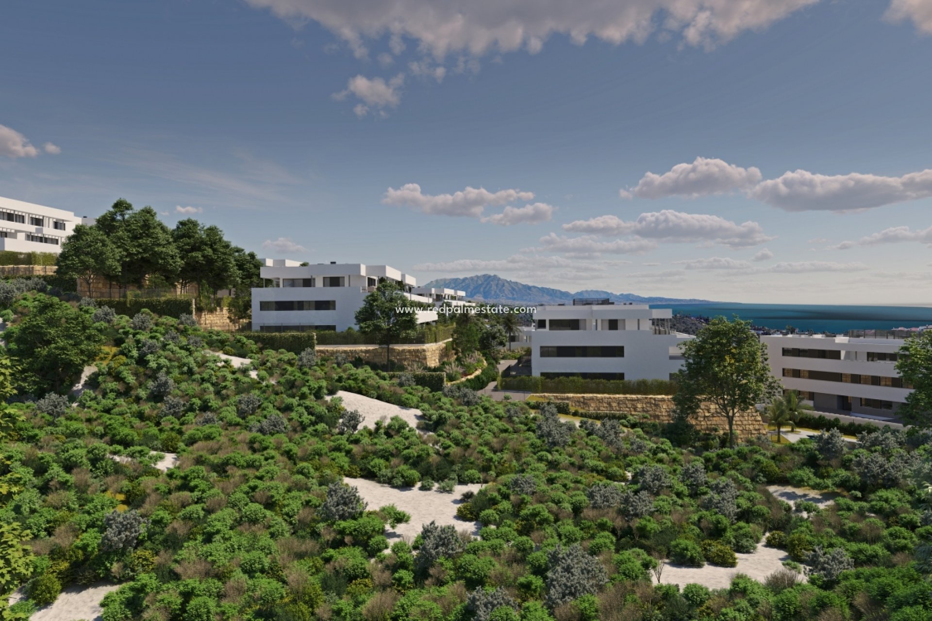 New Build - Apartment -
Casares