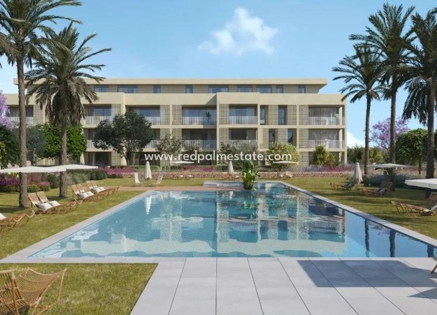 New Build - Apartment -
Denia - Camí de Sant Joan