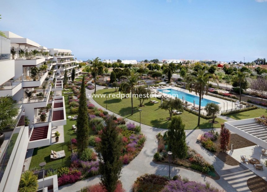 New Build - Apartment -
Denia - Playa de La Almadraba