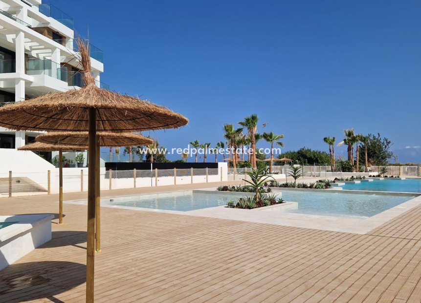 New Build - Apartment -
Denia
