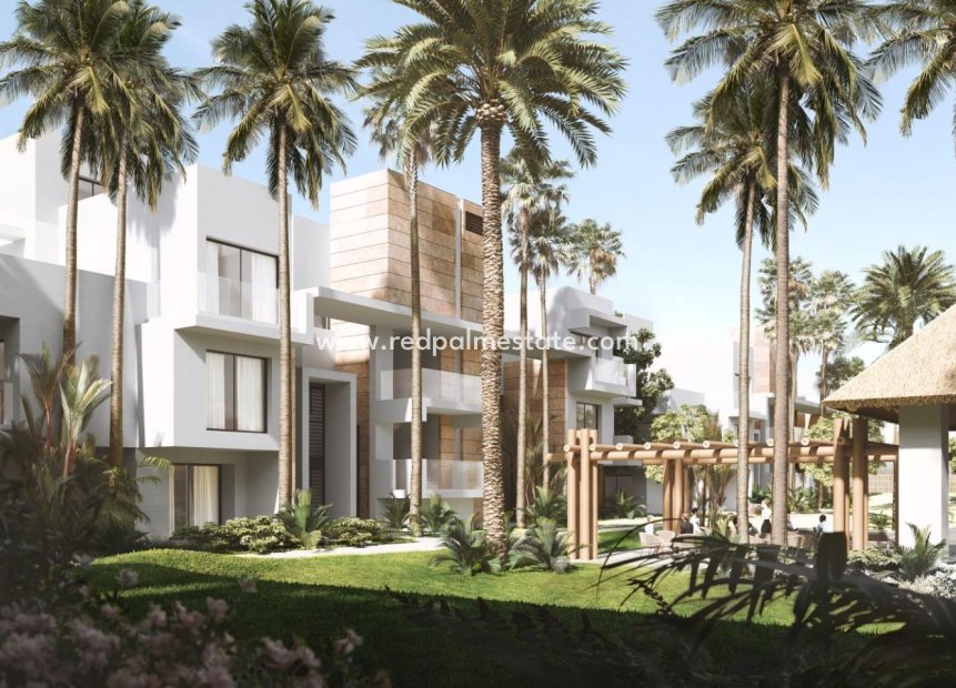 New Build - Apartment -
Estepona - Reinoso