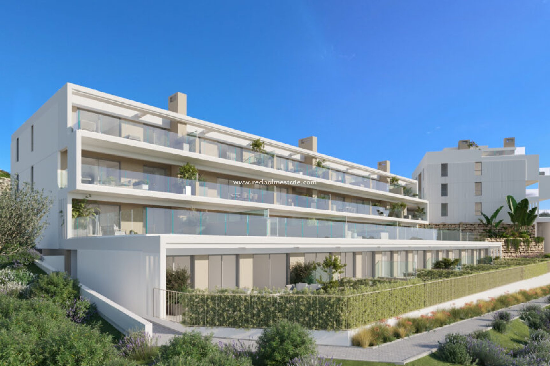 New Build - Apartment -
Estepona