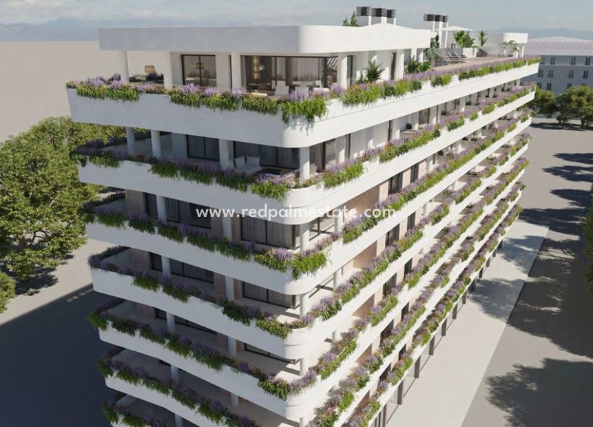 New Build - Apartment -
Estepona