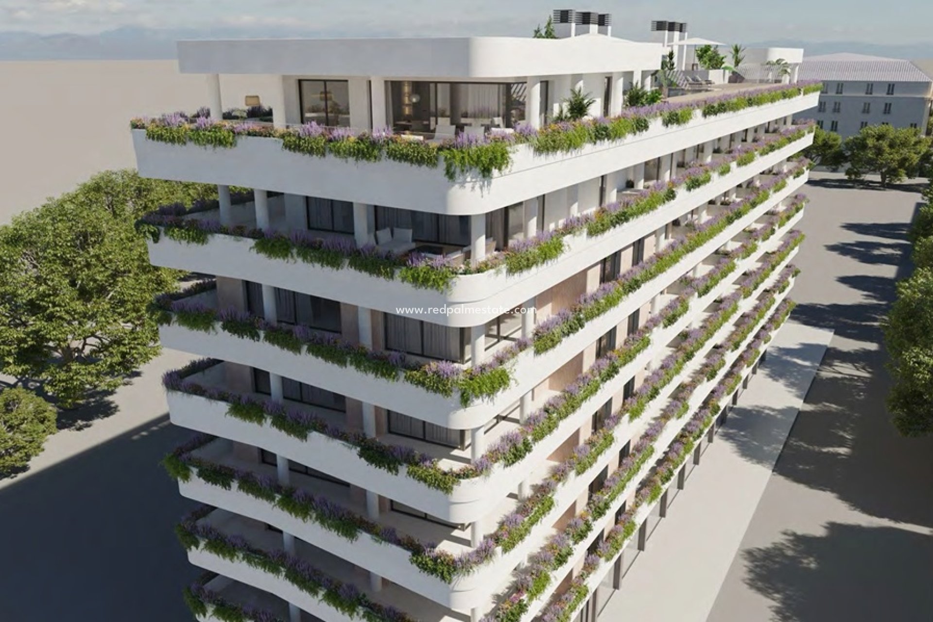 New Build - Apartment -
Estepona