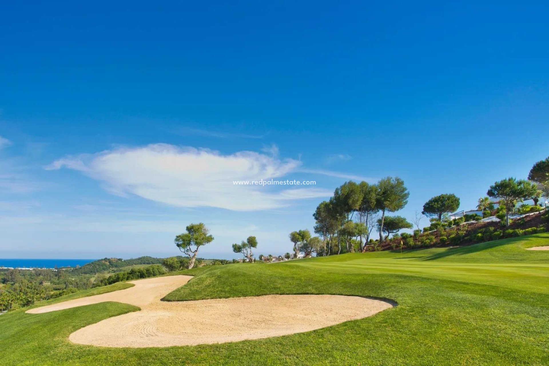 New Build - Apartment -
Estepona