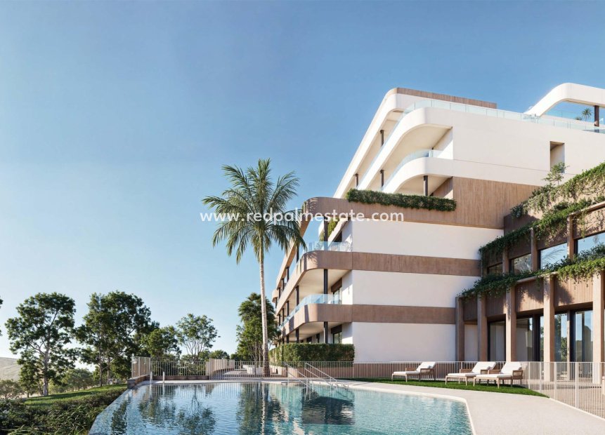 New Build - Apartment -
Estepona