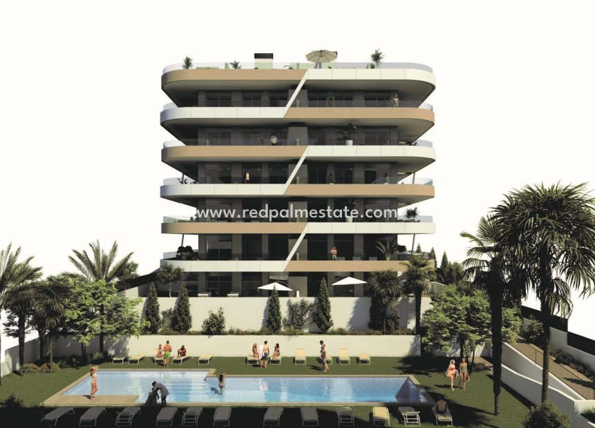 New Build - Apartment -
Gran Alacant - Arenales del Sol