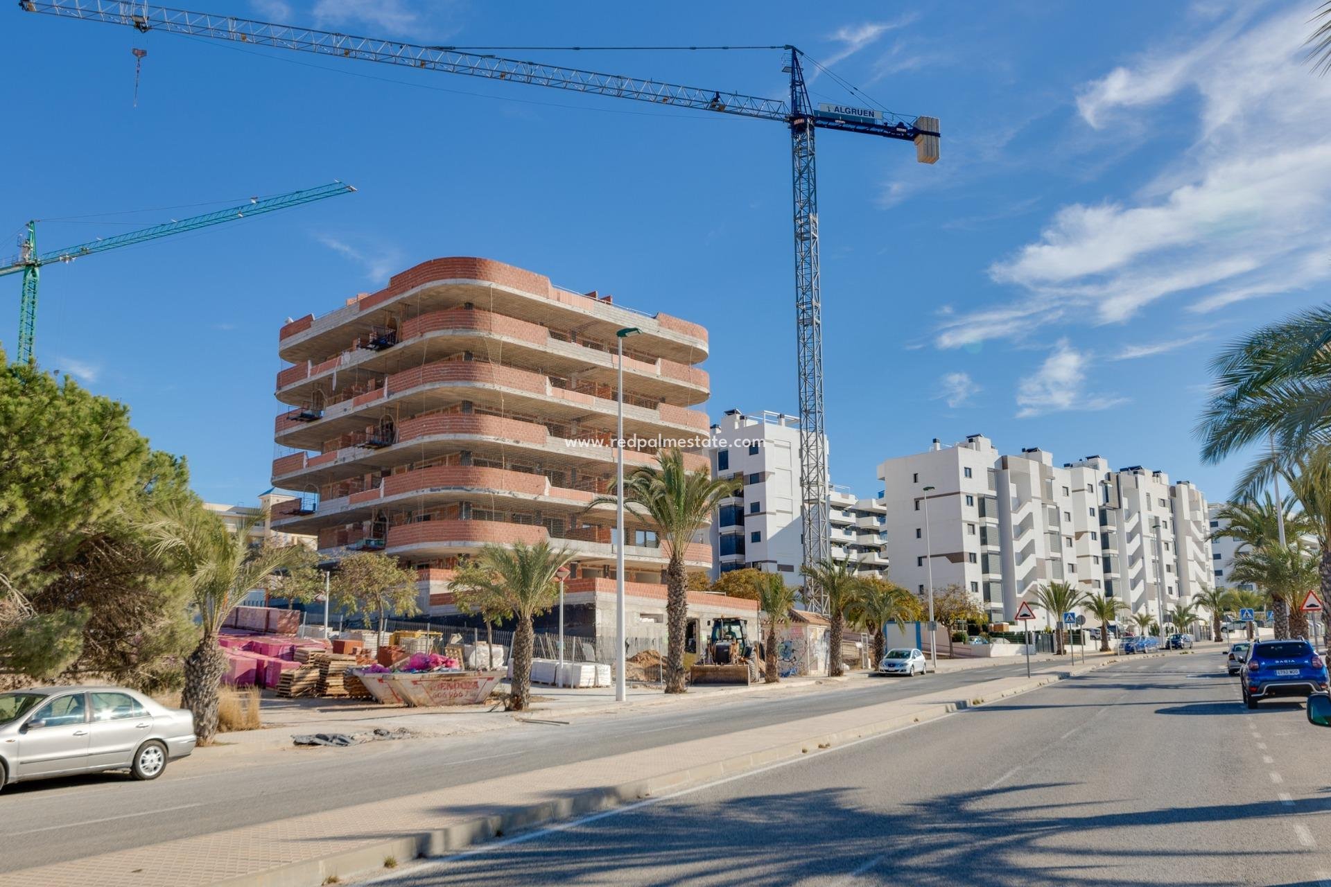 New Build - Apartment -
Gran Alacant - Arenales del Sol