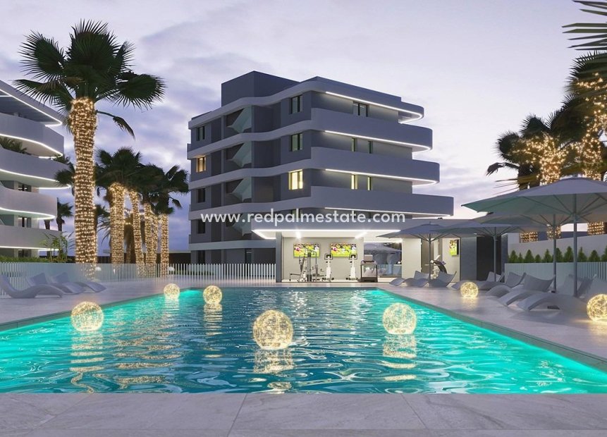New Build - Apartment -
Guardamar del Segura - El Raso