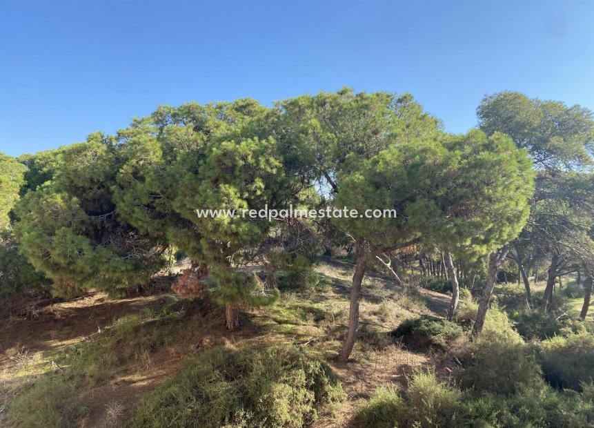 New Build - Apartment -
Guardamar del Segura - Guardamar