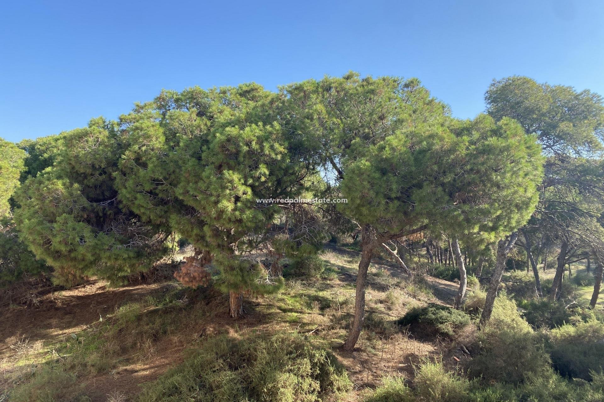 New Build - Apartment -
Guardamar del Segura - Guardamar
