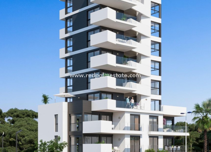 New Build - Apartment -
Guardamar del Segura - Puerto Deportivo