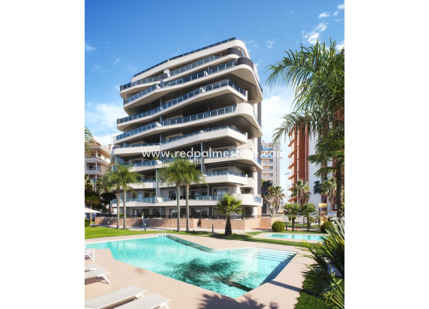 New Build - Apartment -
Guardamar del Segura - Puerto