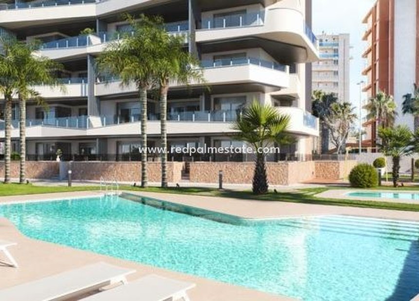 New Build - Apartment -
Guardamar del Segura - Puerto