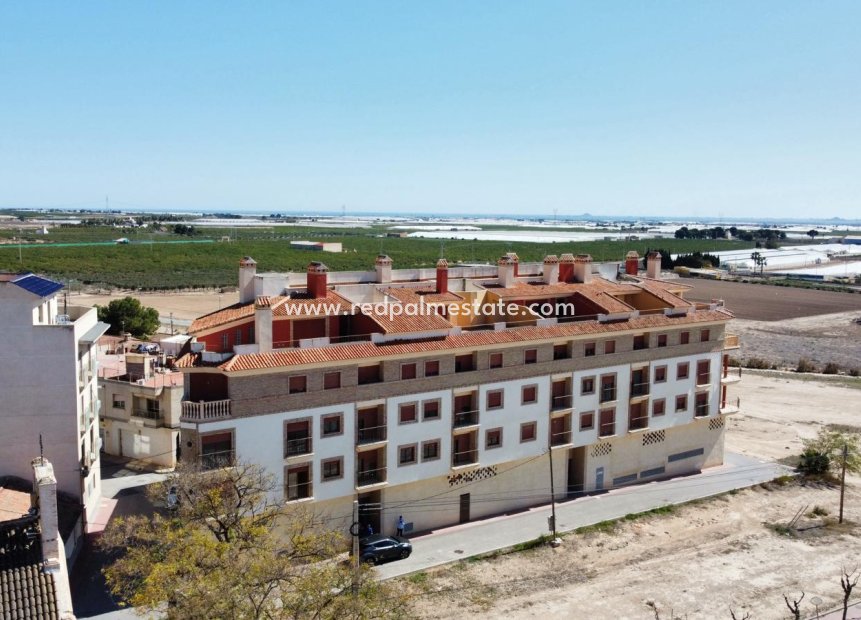 New Build - Apartment -
Jerónimo y Avileses