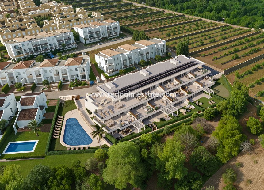 New Build - Apartment -
La Sella