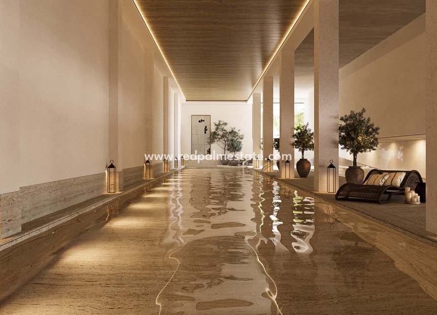New Build - Apartment -
Macenas