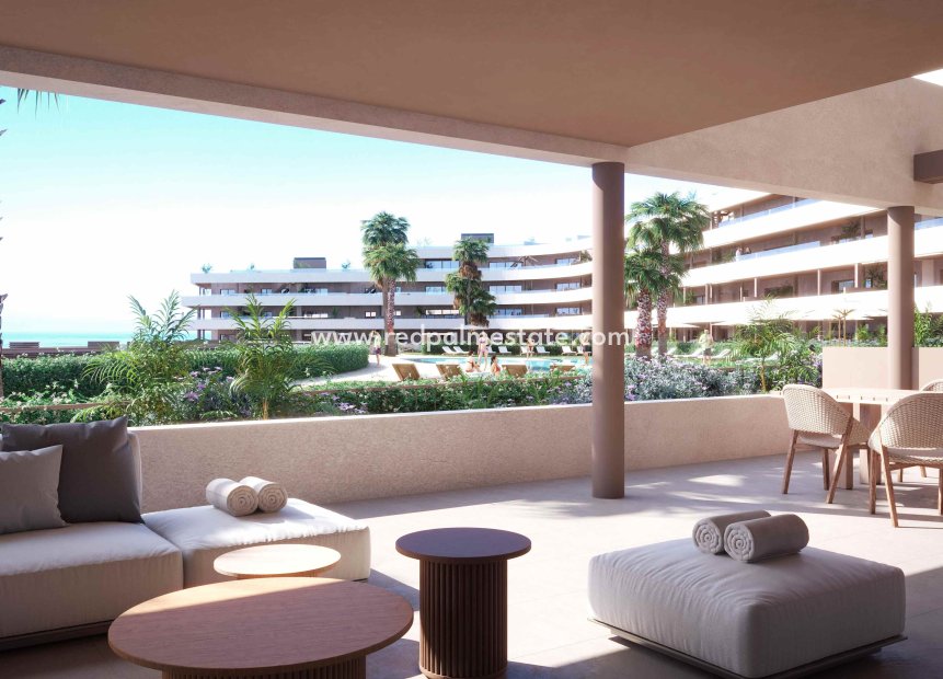 New Build - Apartment -
Manilva