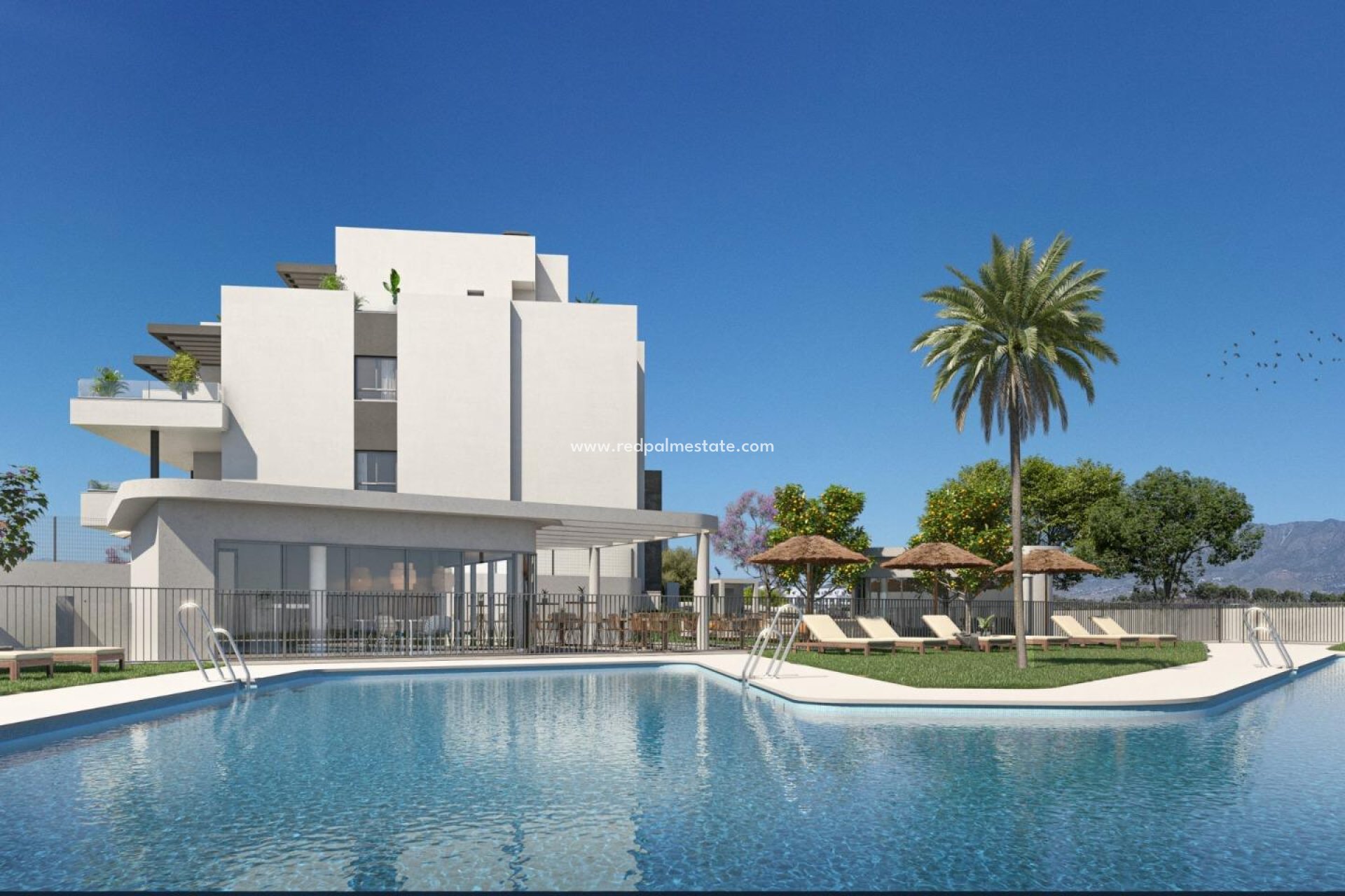 New Build - Apartment -
Mijas - Playa Marina