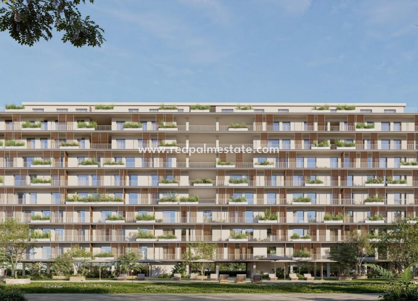 New Build - Apartment -
Moncofa - Playa de Moncofa