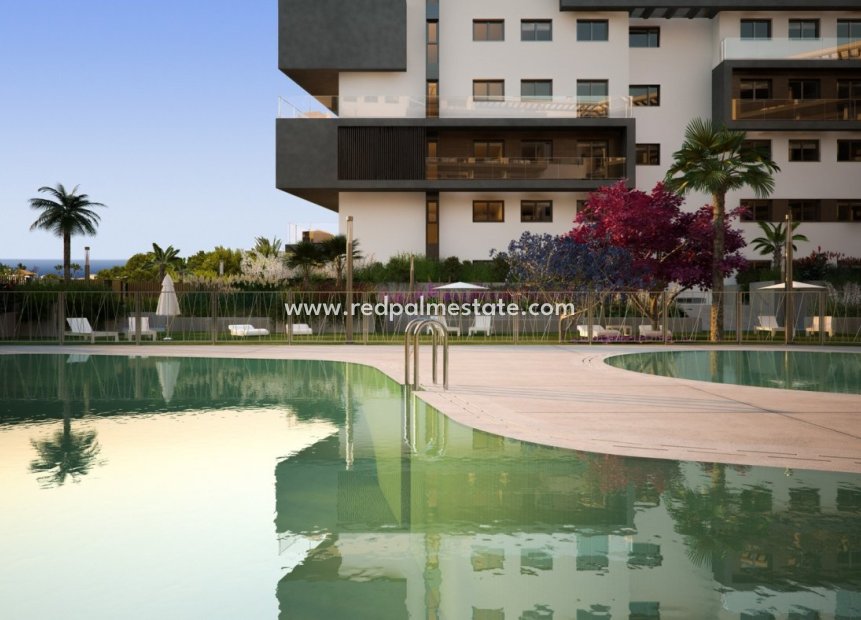 New Build - Apartment -
Orihuela Costa - Campoamor