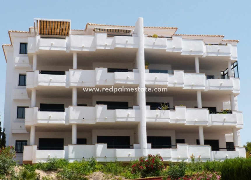 New Build - Apartment -
Orihuela Costa - Lomas De Campoamor-las Ramblas